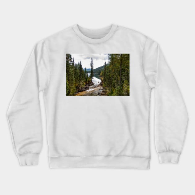 850_6537 Crewneck Sweatshirt by wgcosby